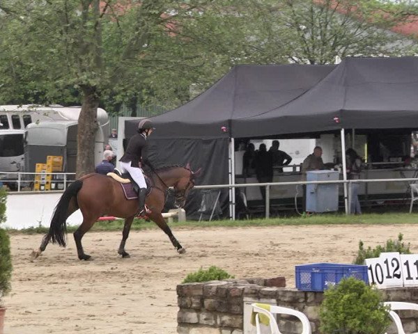 Reitturnier Heiligenwald 2021