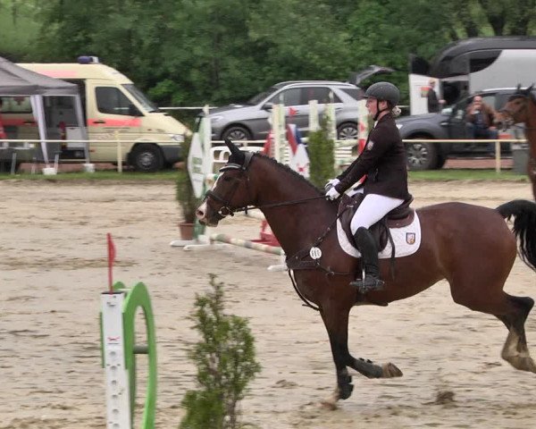Reitturnier Heiligenwald 2021