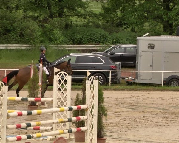 Reitturnier Heiligenwald 2021
