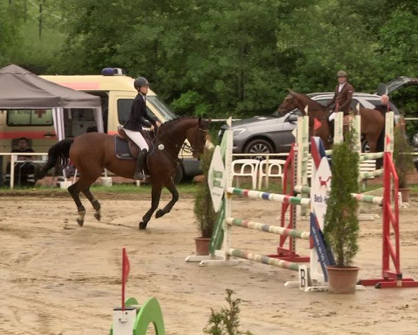 Reitturnier Heiligenwald 2021