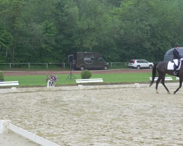 Reitturnier Heiligenwald 2021
