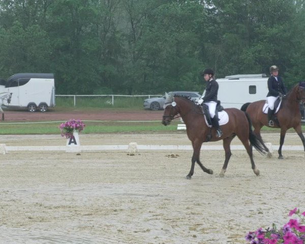 Reitturnier Heiligenwald 2021