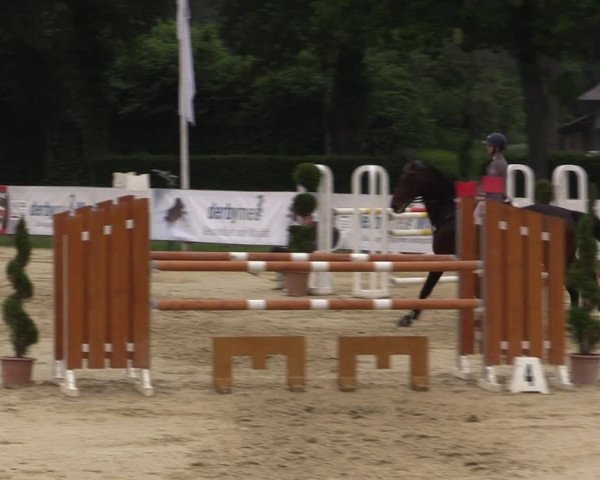 Reitturnier Münster-Handorf 2021