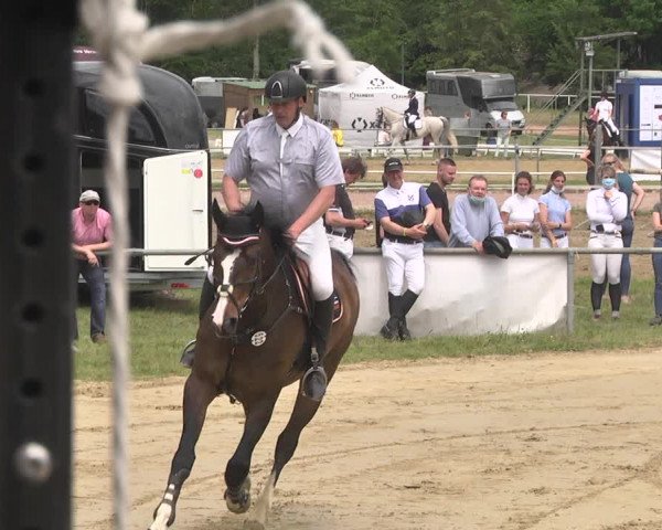 Reitturnier Heiligenwald 2021