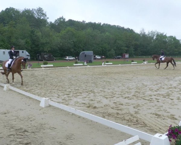 Reitturnier Heiligenwald 2021
