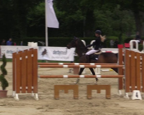 Reitturnier Münster-Handorf 2021