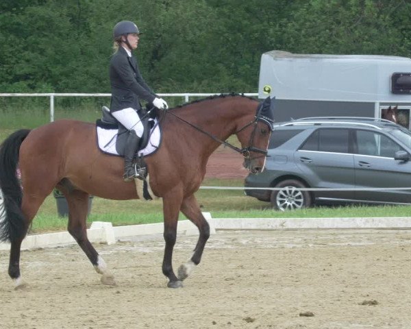 Reitturnier Heiligenwald 2021
