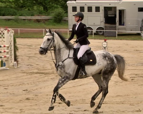 Reitturnier Heiligenwald 2021