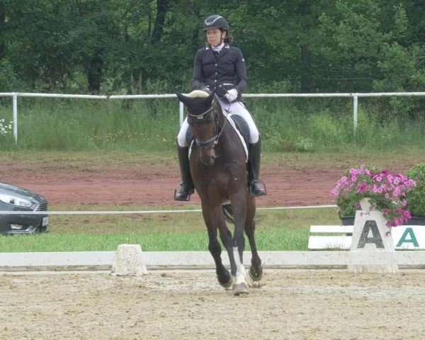 Reitturnier Heiligenwald 2021