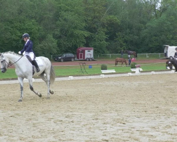 Reitturnier Heiligenwald 2021