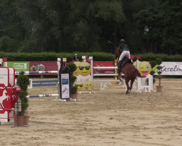 Reitturnier Münster-Handorf 2021
