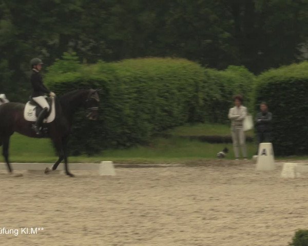 Reitturnier Münster-Handorf 2021