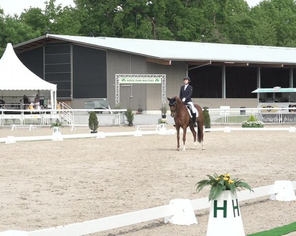 Reitturnier Dielsdorf, Horsepark 2021