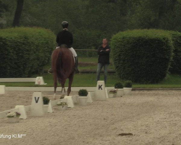 Reitturnier Münster-Handorf 2021
