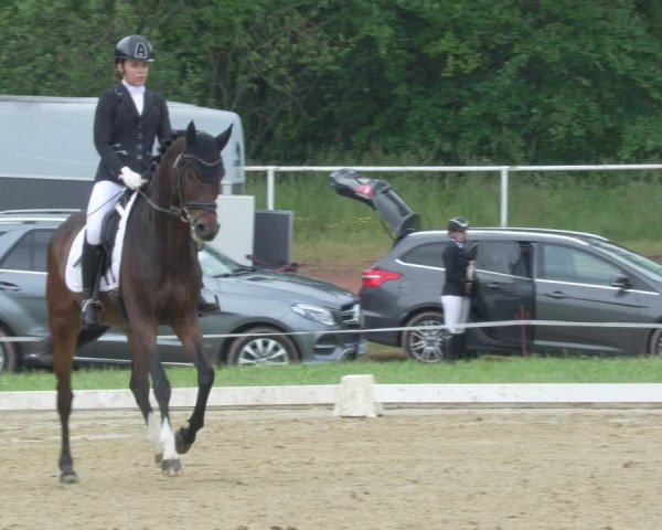 Reitturnier Heiligenwald 2021