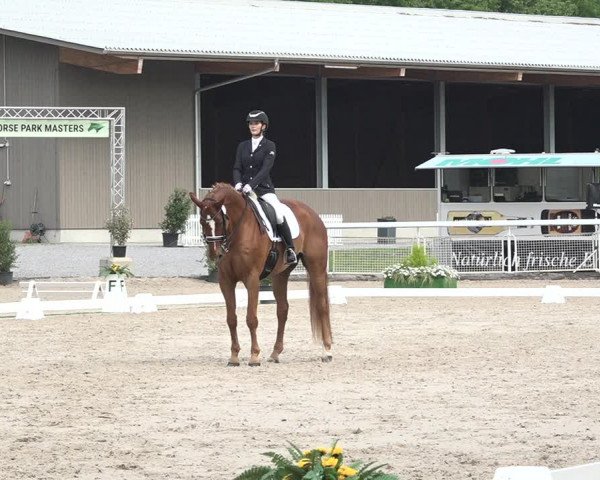 Reitturnier Dielsdorf, Horsepark 2021