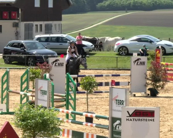 Reitturnier Zoltingen/Schw. 2021