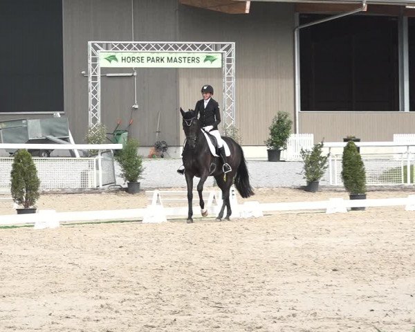 Reitturnier Dielsdorf, Horsepark 2021