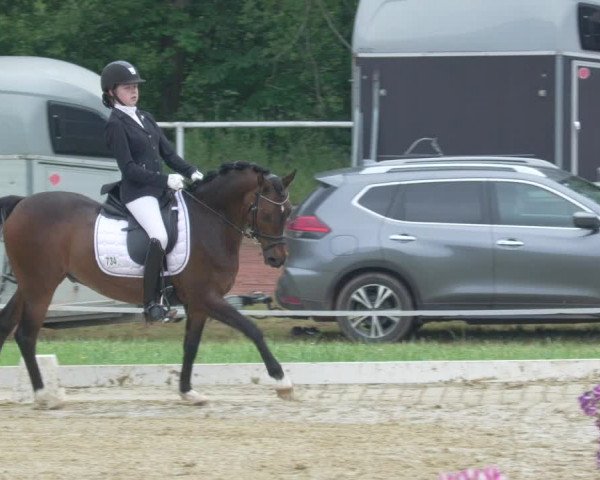 Reitturnier Heiligenwald 2021