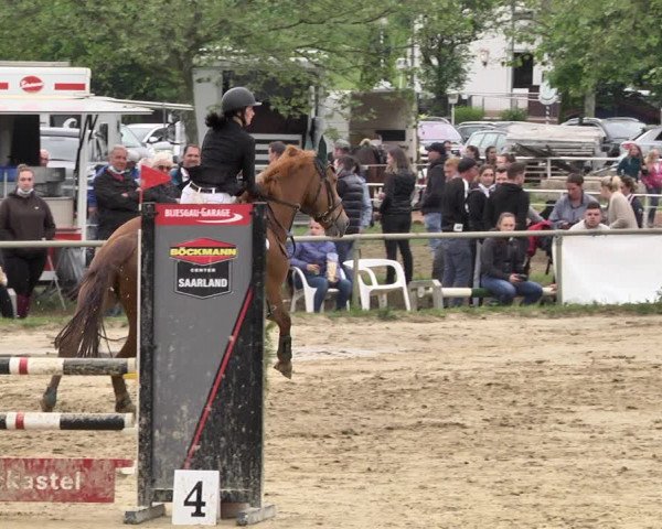 Reitturnier Heiligenwald 2021