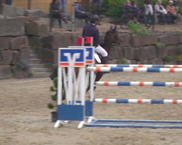 Reitturnier Lindlar-Süttenbach 2021