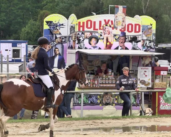 Reitturnier Heiligenwald 2021