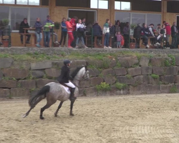 Reitturnier Lindlar-Süttenbach 2021