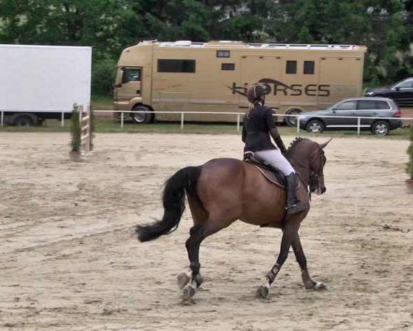 Reitturnier Heiligenwald 2021