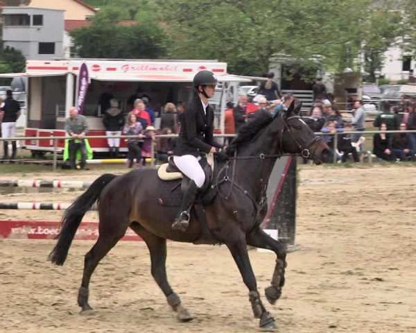 Reitturnier Heiligenwald 2021