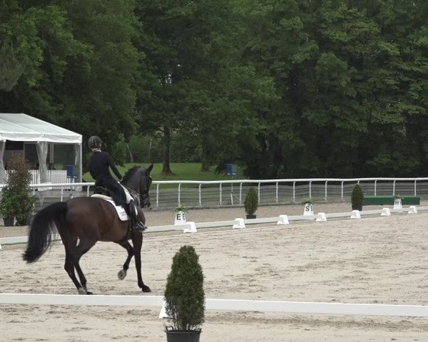 Reitturnier Dielsdorf, Horsepark 2021