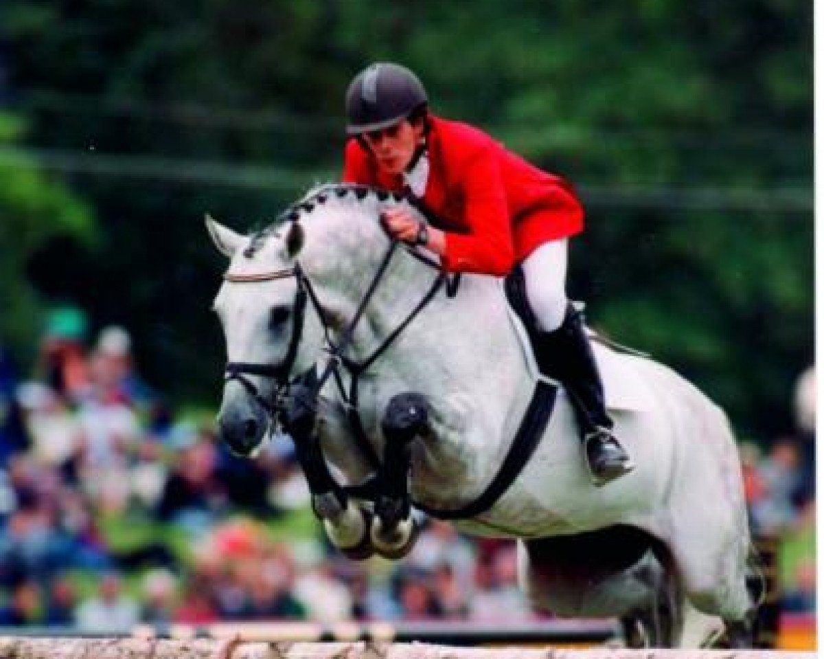 Deckhengst Cassone (Holsteiner, 1989, von Cor de la Bryère)