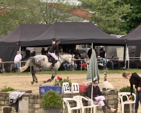 Reitturnier Heiligenwald 2021