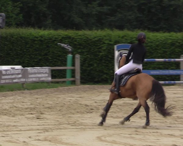 Reitturnier Münster-Handorf 2021