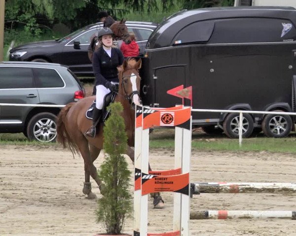 Reitturnier Heiligenwald 2021
