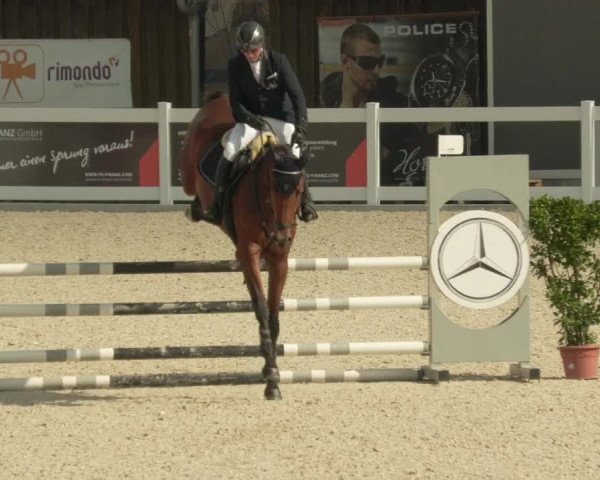 Springturnier Memmingen 2021