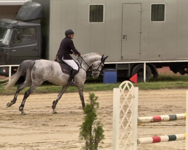 Reitturnier Heiligenwald 2021