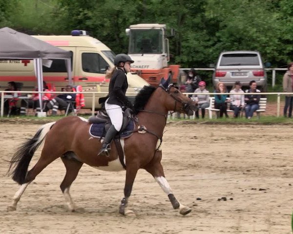 Reitturnier Heiligenwald 2021