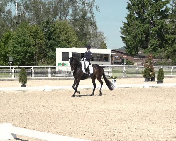 Reitturnier Dielsdorf, Horsepark 2021