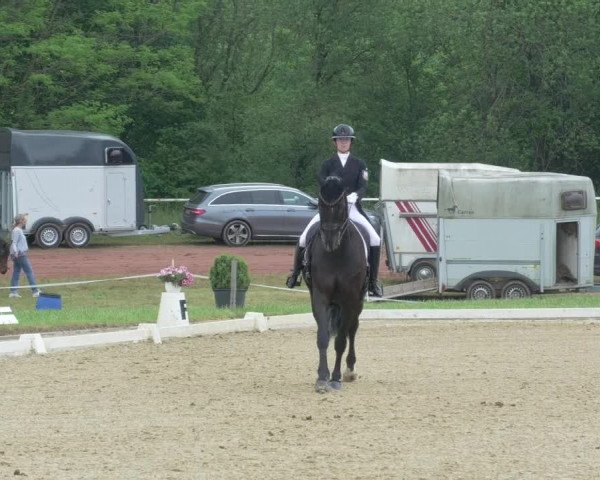 Reitturnier Heiligenwald 2021