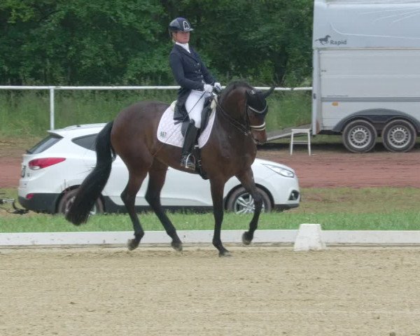 Reitturnier Heiligenwald 2021