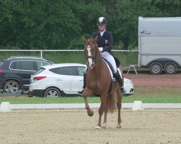 Reitturnier Heiligenwald 2021