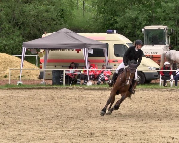 Reitturnier Heiligenwald 2021