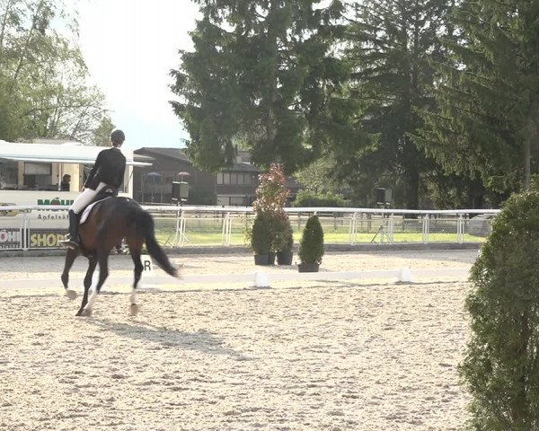 Reitturnier Dielsdorf, Horsepark 2021