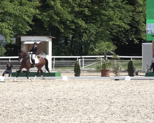 Reitturnier Dielsdorf, Horsepark 2021