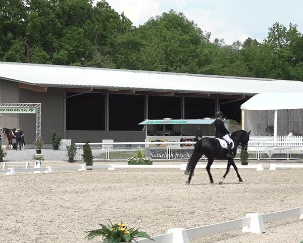 Reitturnier Dielsdorf, Horsepark 2021