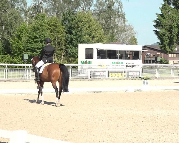 Reitturnier Dielsdorf, Horsepark 2021