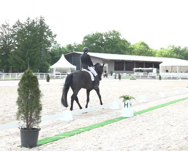 Reitturnier Dielsdorf, Horsepark 2021