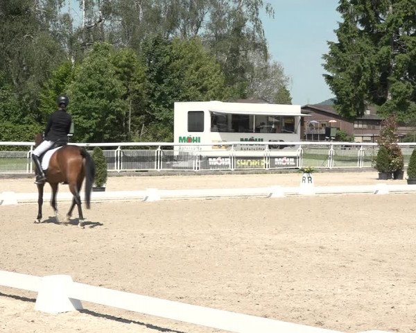 Reitturnier Dielsdorf, Horsepark 2021