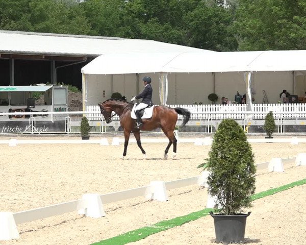 Reitturnier Dielsdorf, Horsepark 2021