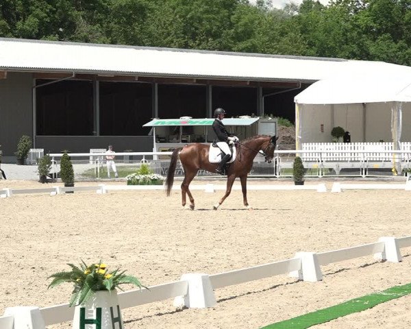 Reitturnier Dielsdorf, Horsepark 2021